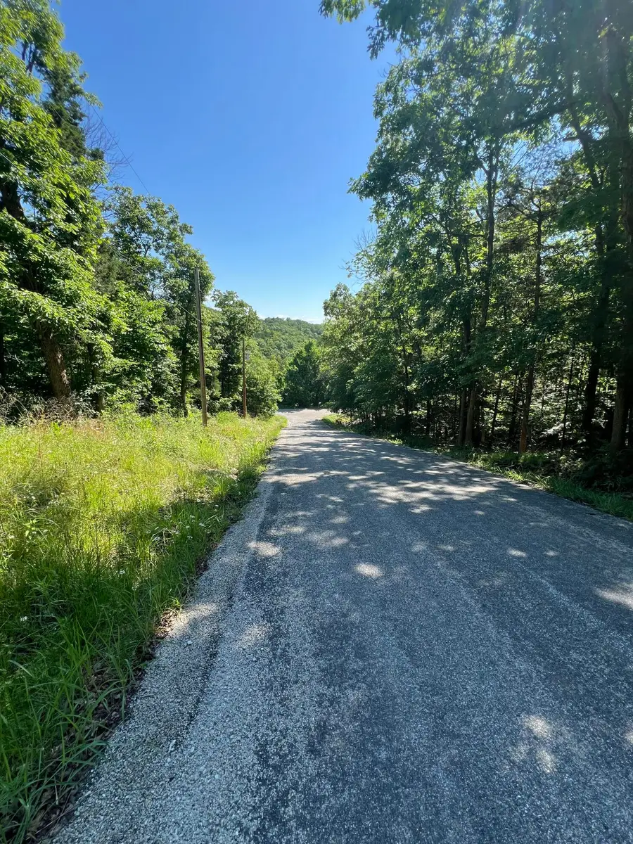 299 Beaver Road, Branson, MO 65616 - Image #3