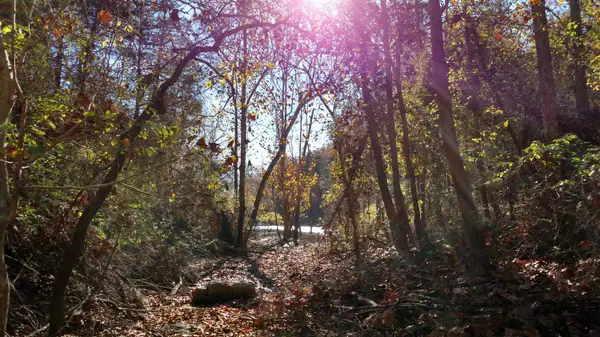 000 Buttermilk Spring Road, Galena, MO 65656