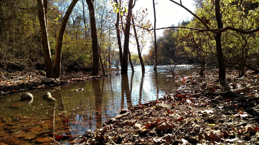 000 Buttermilk Spring Road, Galena, MO 65656 - Image #2