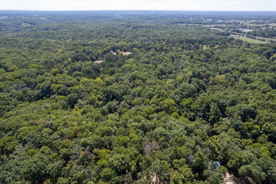 000 Watts Road, Rogersville, MO 65742 - Image #2