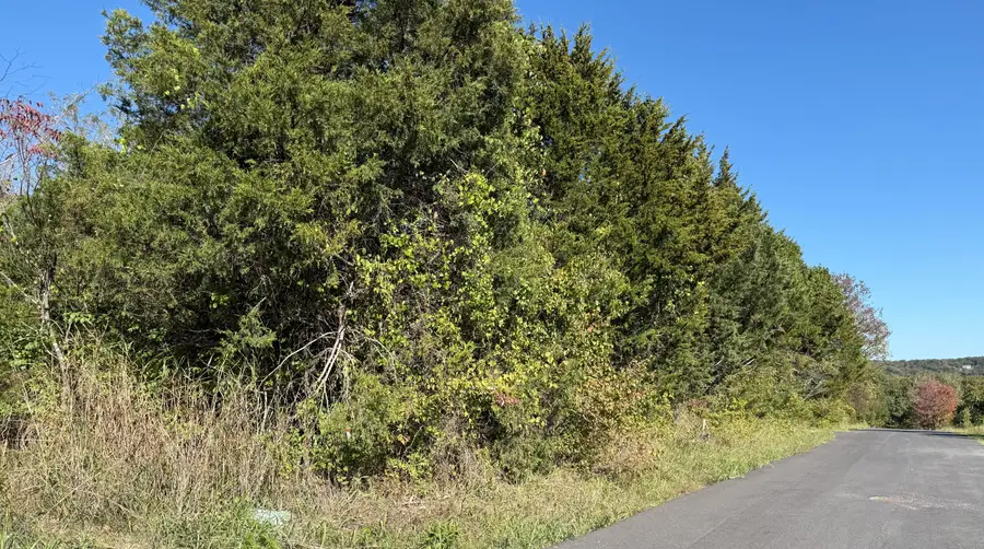 155 Deer Run Drive, Rockaway Beach, MO 65740 - Image #2