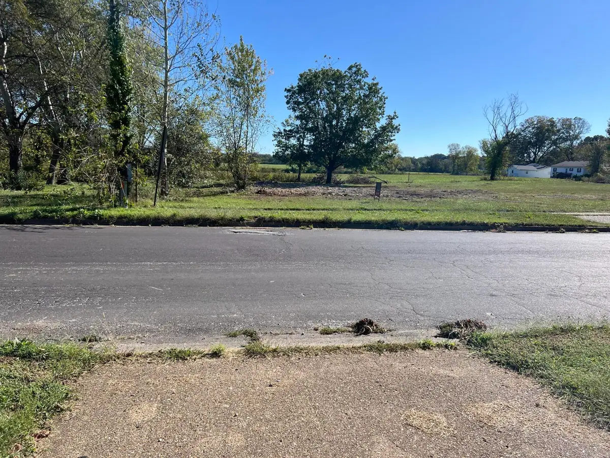 214 S Wall Street #2, Mountain Grove, MO 65711 - Image #1