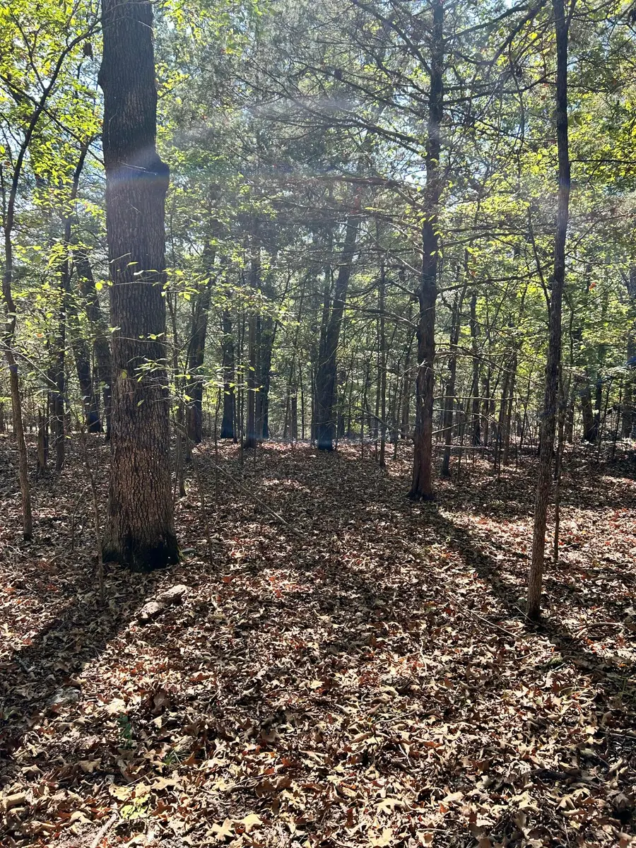 825 Jessi Road, Forsyth, MO 65653 - Image #2