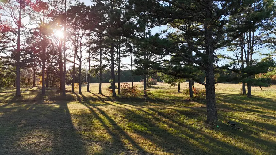 659 Rr 63 Box 659, Cabool, MO 65689 - Image #2