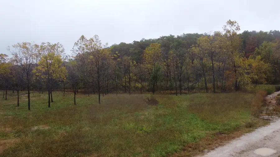 000 Nevill Road, Mountain Grove, MO 65711 - Image #2