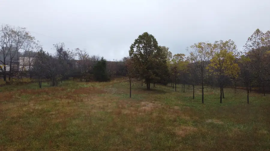 000 Nevill Road, Mountain Grove, MO 65711 - Image #3