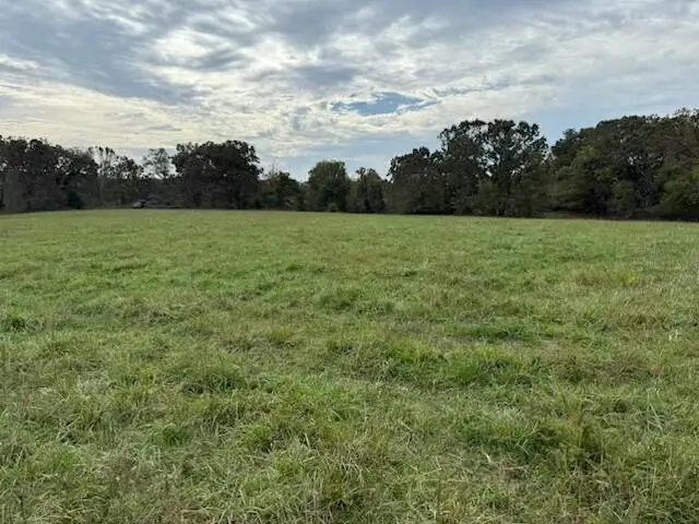 Tbd U.s. Highway 160, West Plains, MO 65775 - Image #1