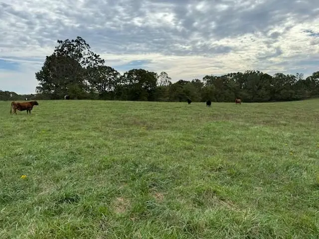 Tbd U.s. Highway 160, West Plains, MO 65775 - Image #3