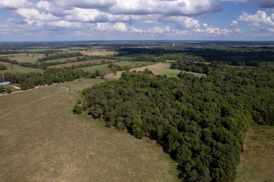 03 Carnell Road, Rocky Comfort, MO 64861 - Image #3