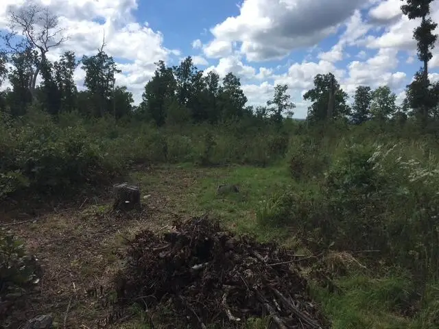 1240 County Rd 875, Thornfield, MO 65762 - Image #1