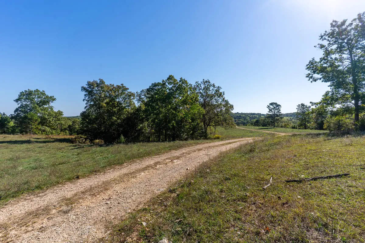 000 County Road 1130, Willow Springs, MO 65793 - Image #1