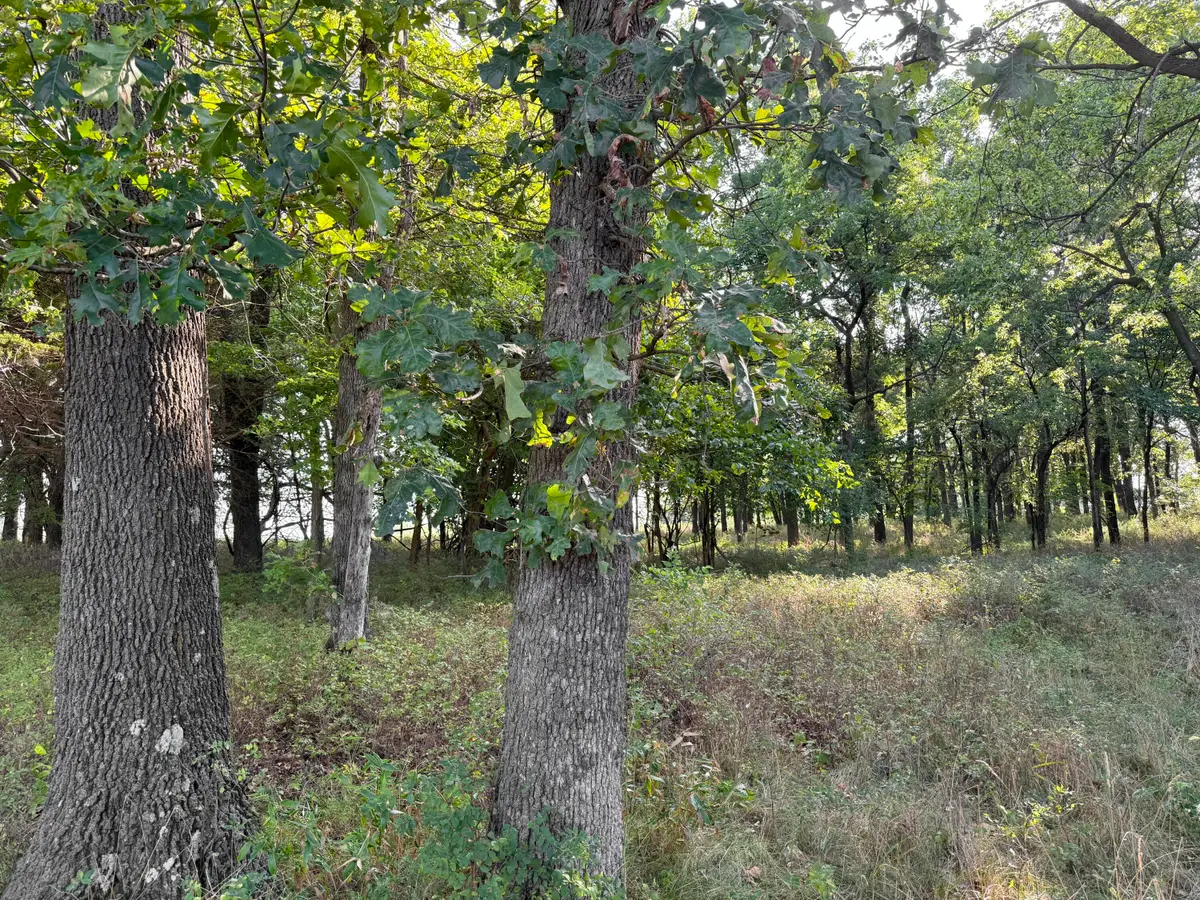 000 State Hwy F, Stotts City, MO 65756 - #1