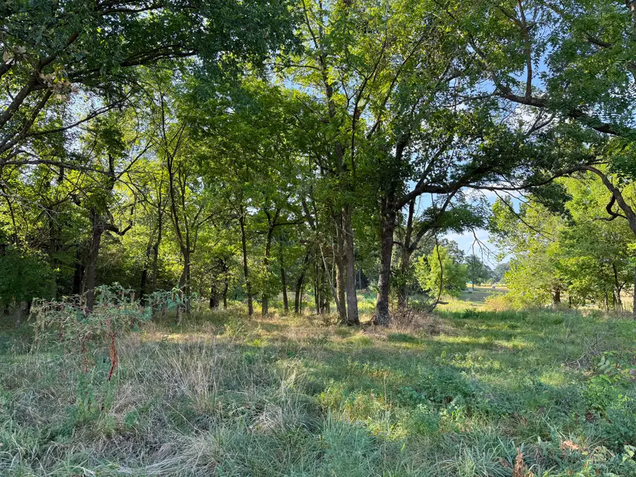 000 State Hwy F, Stotts City, MO 65756 - #2
