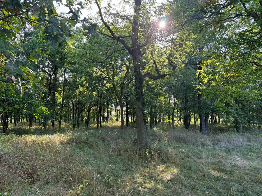000 State Hwy F, Stotts City, MO 65756 - #3