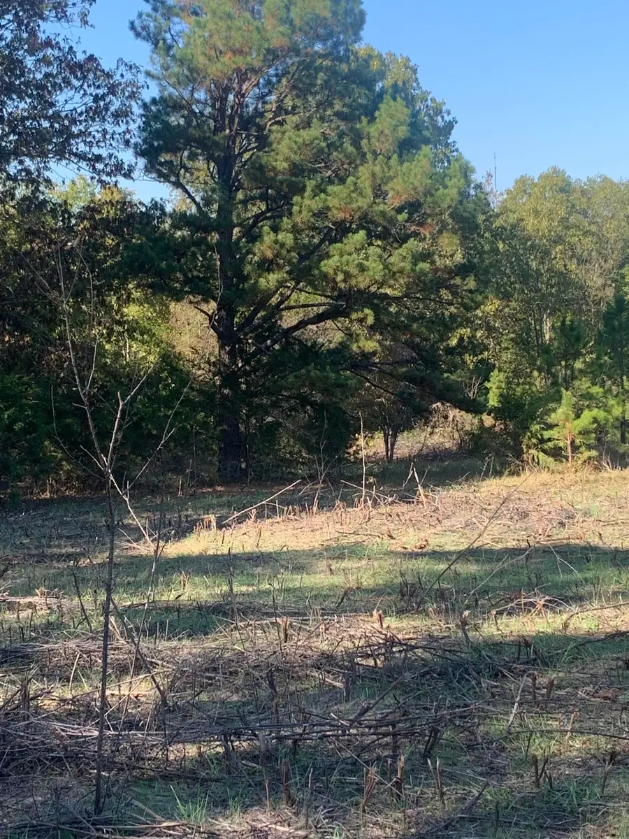 Tbd Highway Kk, Ava, MO 65608 - Image #3