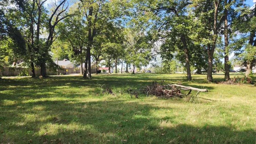 000 Mcpherson Street, Greenfield, MO 65661 - Image #2