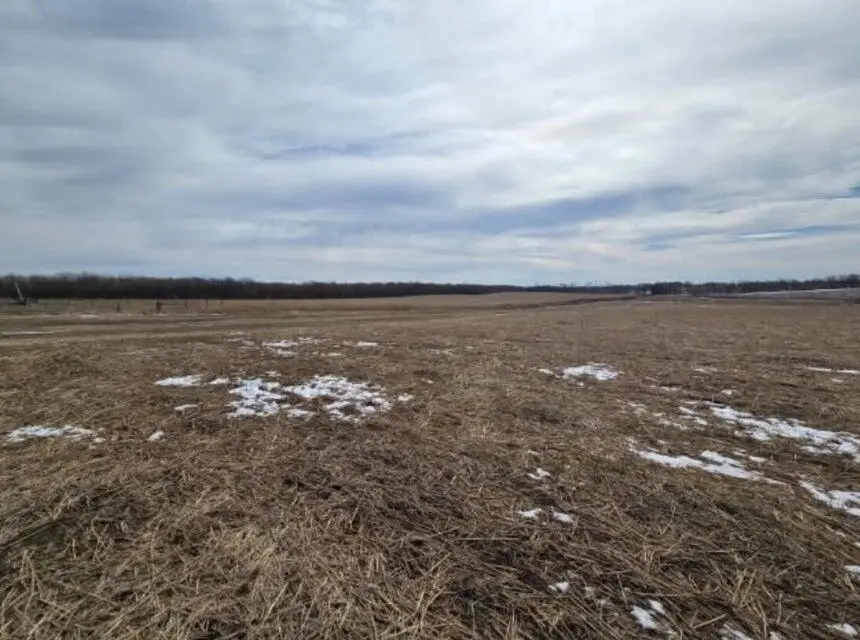 000 W Farm Road 94 Tract 4, Ash Grove, MO 65604 - Image #3