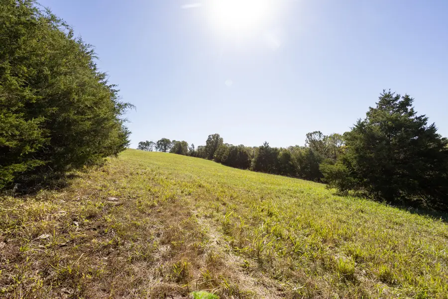 5627 S 95th Road, Willard, MO 65781 - Image #3