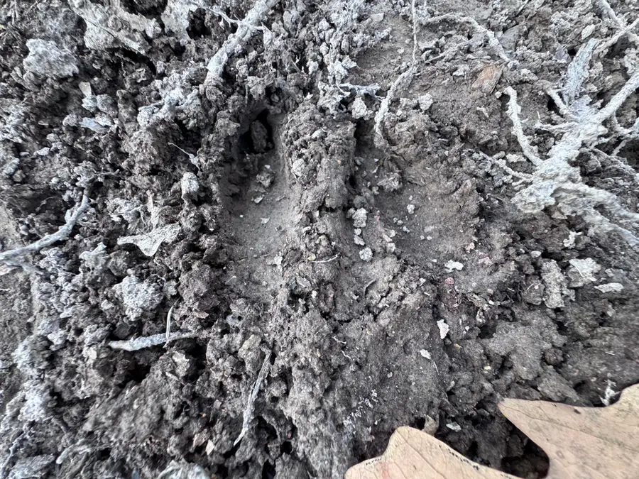 0000 S 25th Road, Humansville, MO 65674 - Image #3