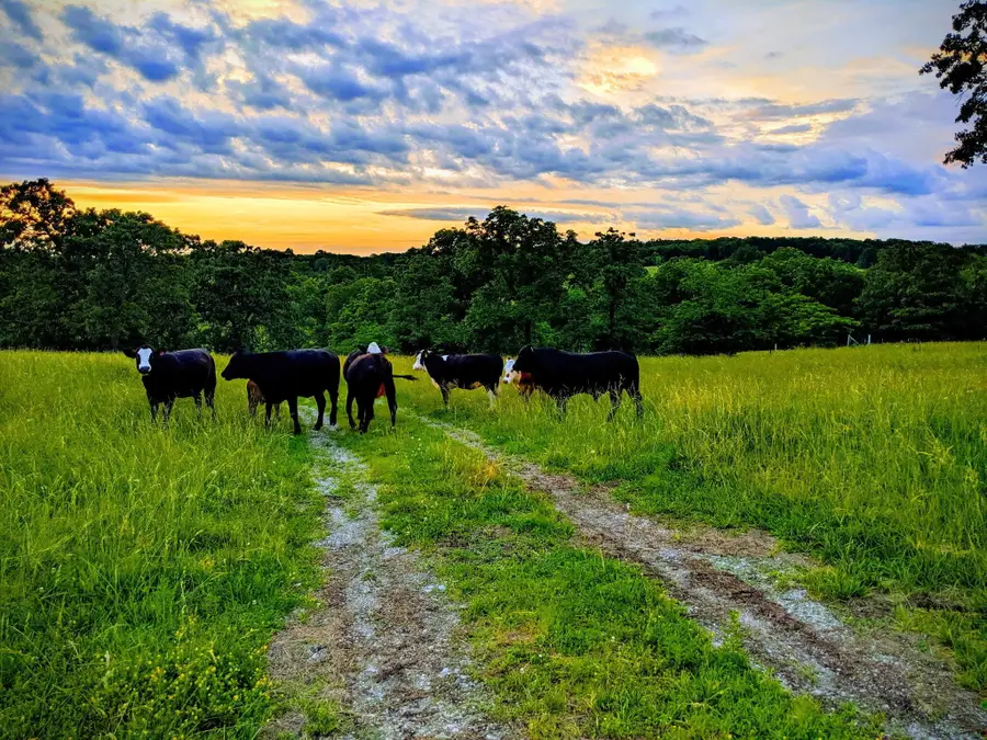 505 D Hwy, Urbana, MO 65767 - Image #2