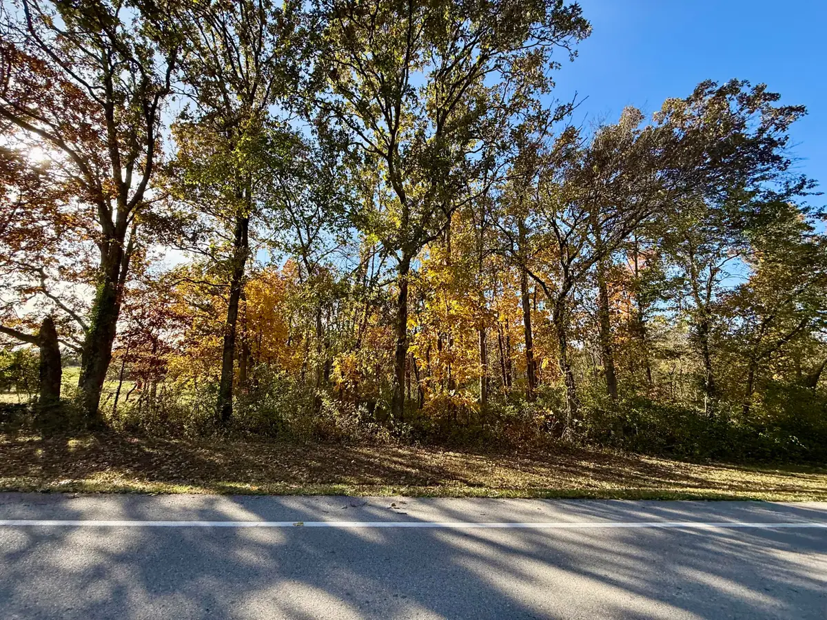 000 Lilly Ave. Avenue, Houston, MO 65483 - Image #1