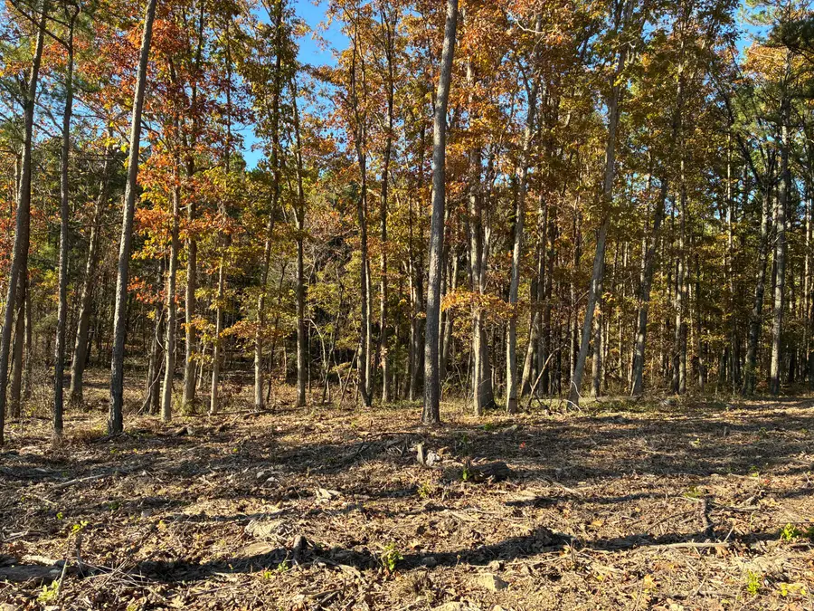 Tbd Pine Ridge Lane, Mountain Grove, MO 65711 - Image #3