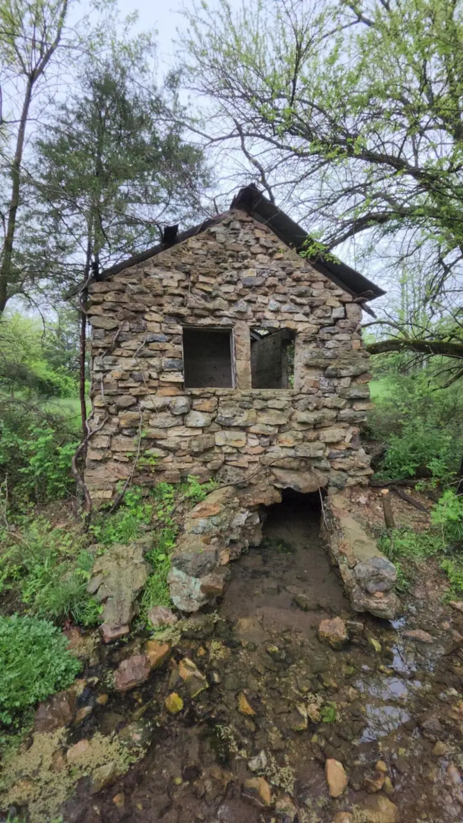 000 Wolfe Drive, Mountain Grove, MO 65711 - Image #2