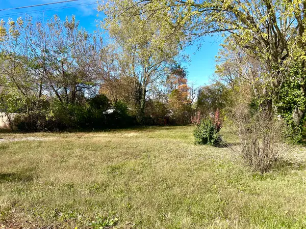 305 W 14th Street, Mountain Grove, MO 65711