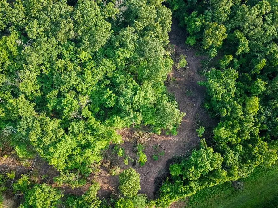 000 Condor Drive #Tract 2n, Seneca, MO 64865 - Image #2