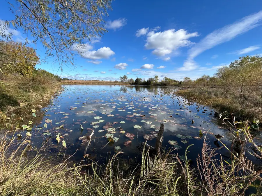 3505 SE 1379 Road, Weaubleau, MO 65774 - #2