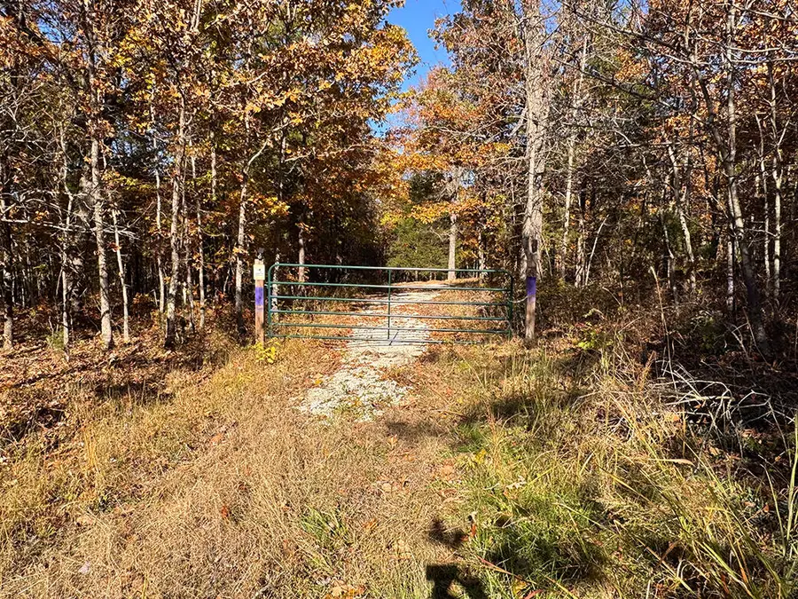 26001 Cedar Lane, Urbana, MO 65767 - Image #2