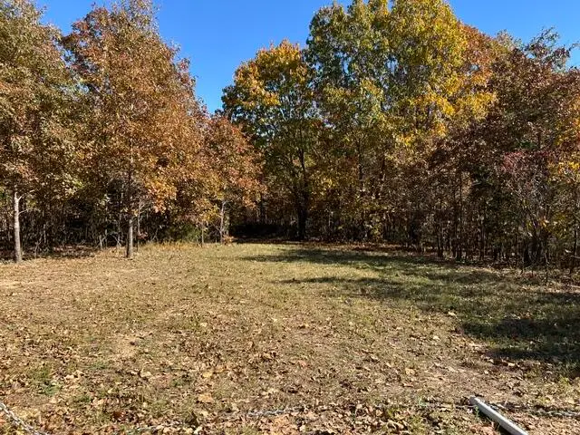 000 County Road P-309, Alton, MO 65606 - Image #1