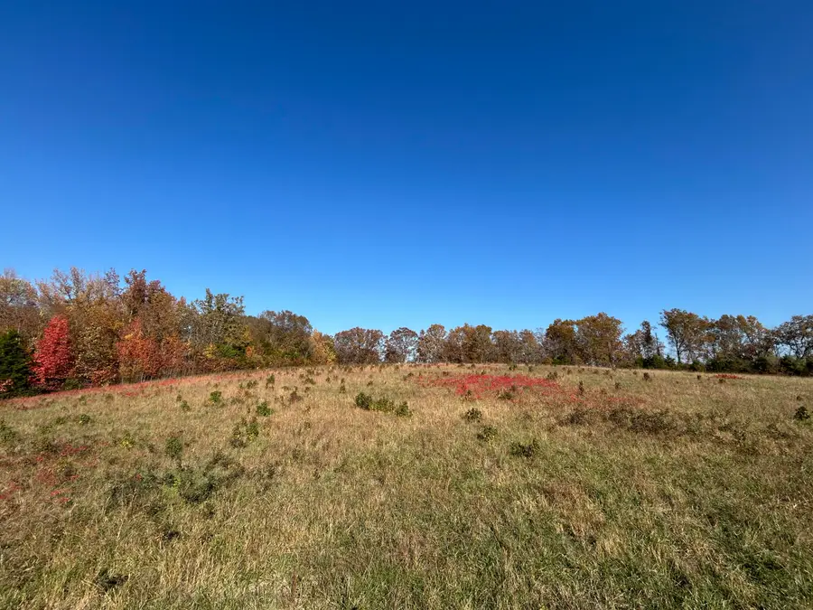 000 E Highway 14 Drive #A, Ava, MO 65608 - Image #2