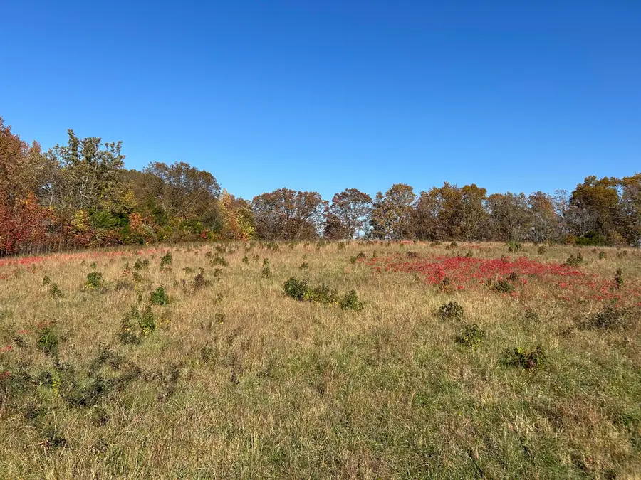 000 E Highway 14 Drive #A, Ava, MO 65608 - Image #3