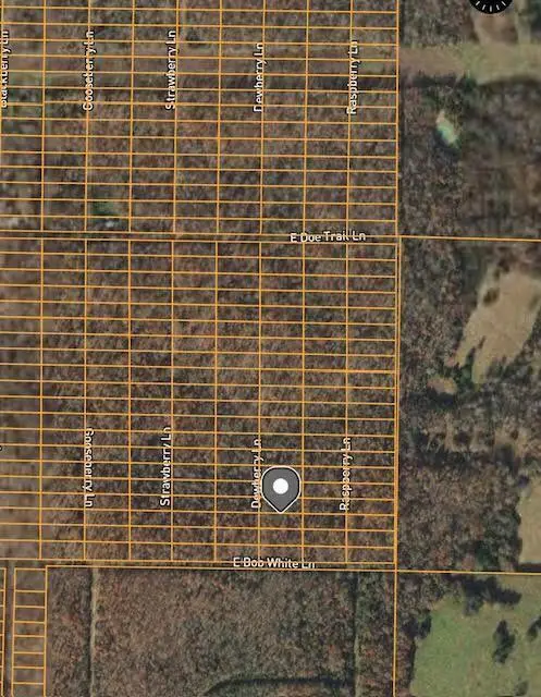 1310 Dewberry Lane, Horseshoe Bend, AR 72512 - #1