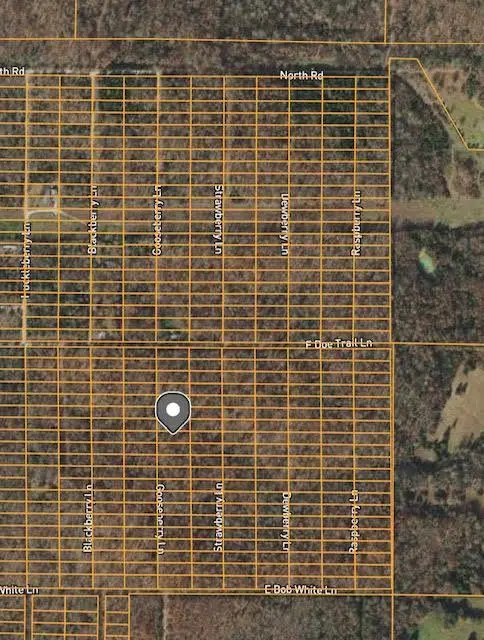 1406 Gooseberry Lane, Horseshoe Bend, AR 72512 - Image #1