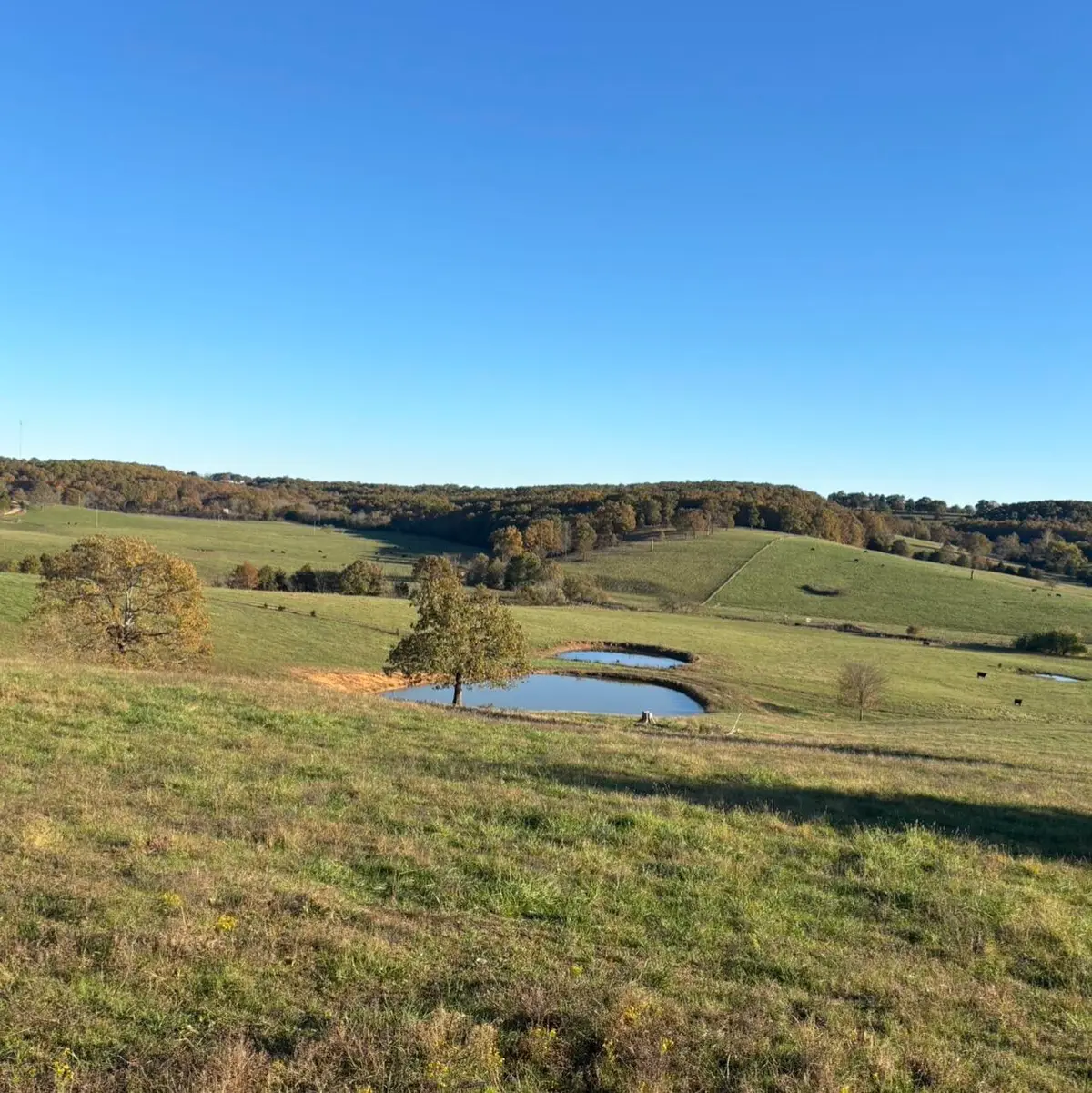 Hc 73 County Road 245, Drury, MO 65638 - Image #1