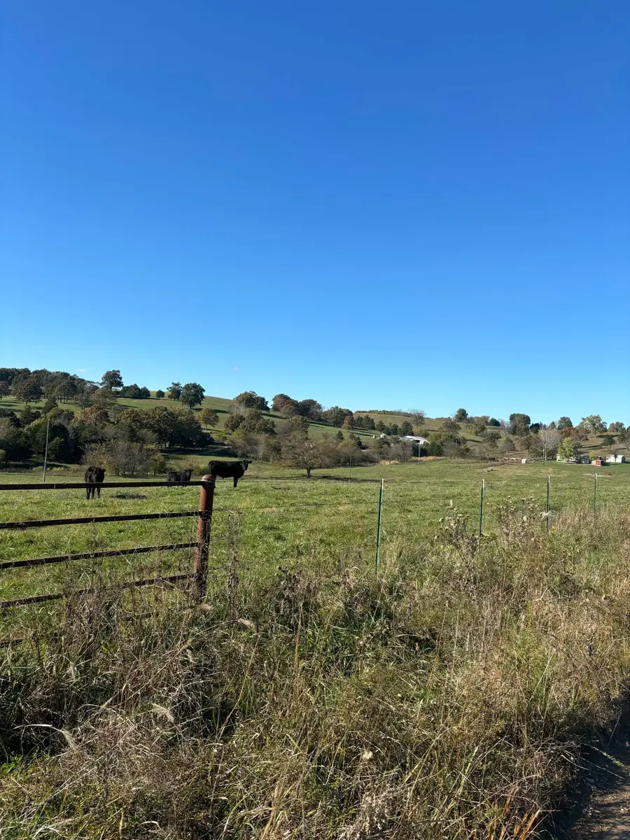 Hc 73 County Road 245, Drury, MO 65638 - Image #3