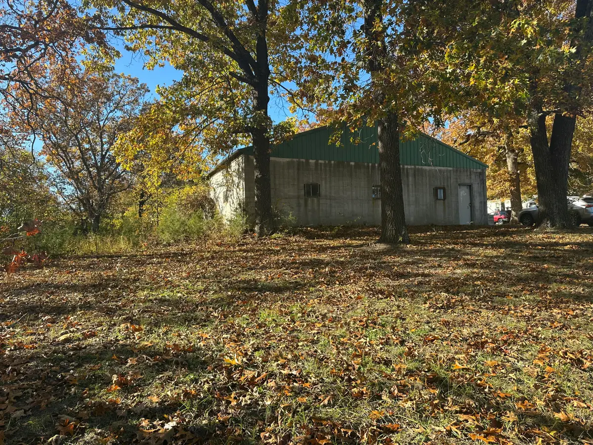 6659 State Highway 176, Walnut Shade, MO 65771 - Image #1