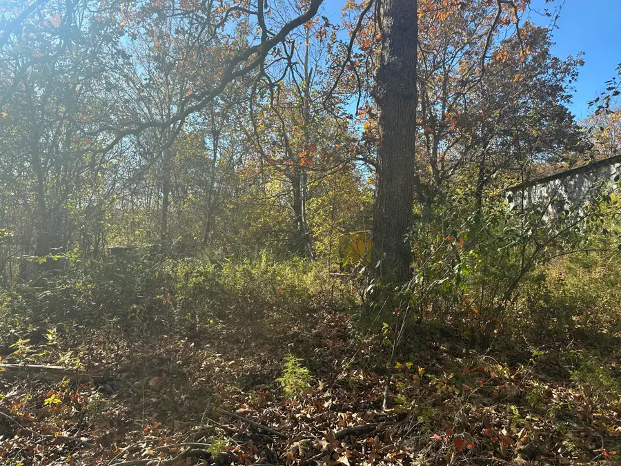 6659 State Highway 176, Walnut Shade, MO 65771 - Image #2