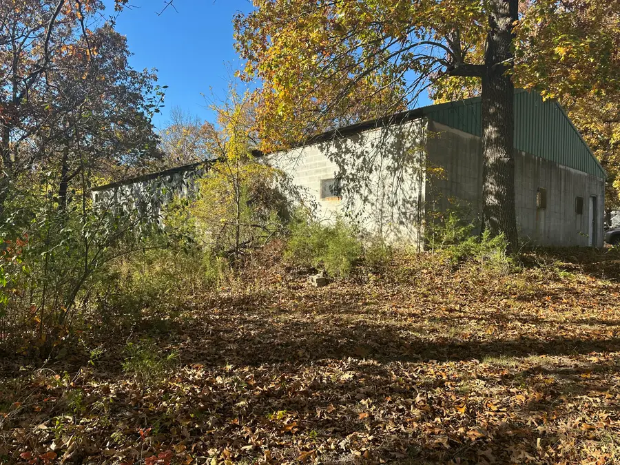 6659 State Highway 176, Walnut Shade, MO 65771 - Image #3