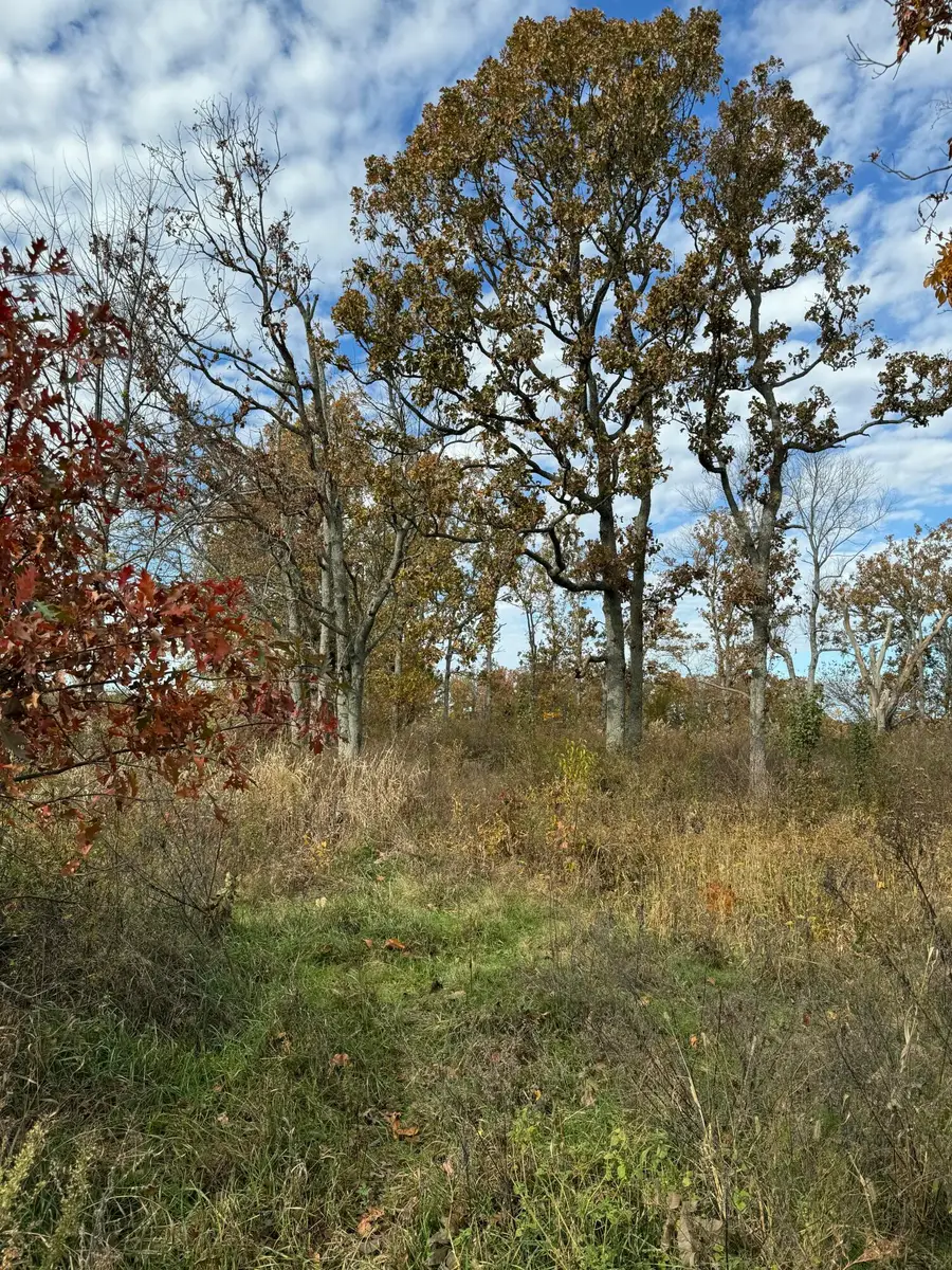 000 State Highway Vv Tract 5d, Rogersville, MO 65742 - Image #3