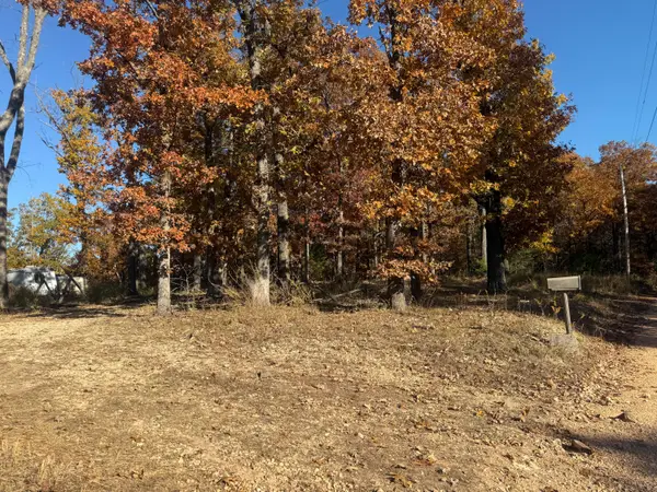 327 Flint Lane, Washburn, MO 65772