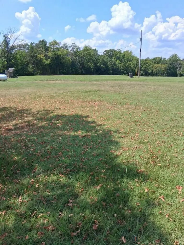 000 Walnut Street, Seligman, MO 65745 - Image #2