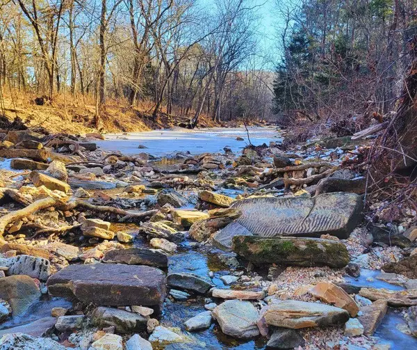 000 County Rd 247, Vanzant, MO 65768