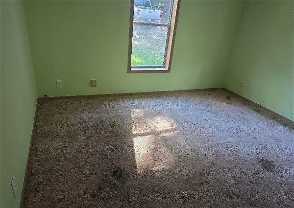 697 Fortune Teller Road, Granby, MO 64844 - Image #3