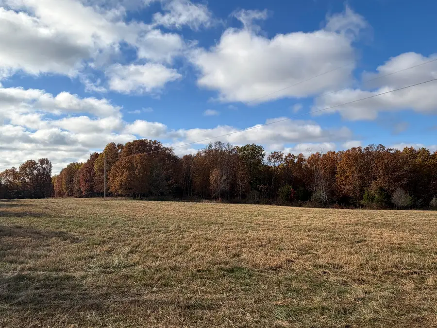 Tbd SE 1325 Road, Weaubleau, MO 65774 - Image #3