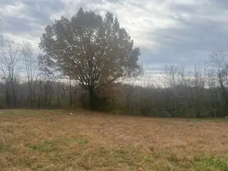 601 E 3rd Street, Mountain View, MO 65548 - Image #1