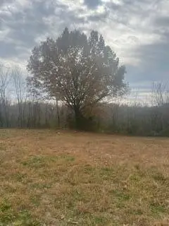 601 E 3rd Street, Mountain View, MO 65548 - Image #3