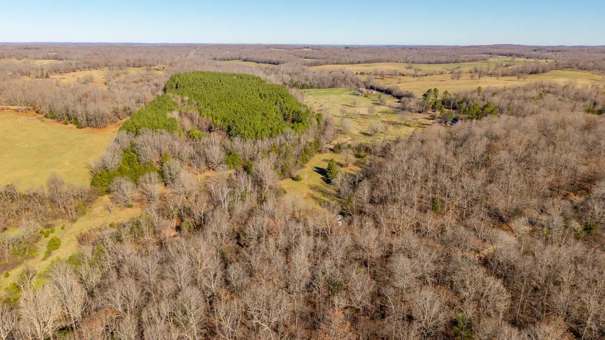 000 Timbercrest Road, Viola, AR 72583 - Image #1